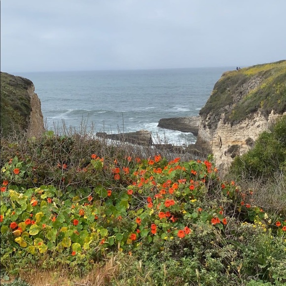 Meet your Posher, Natasha - Picture 1 of 1